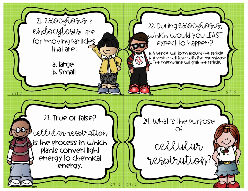 Science review cards 21–24 ask about endocytosis, exocytosis, particle size, and cellular respiration.