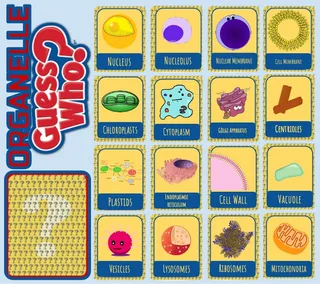 Science Game: Guess Who? Cells Unit – preview