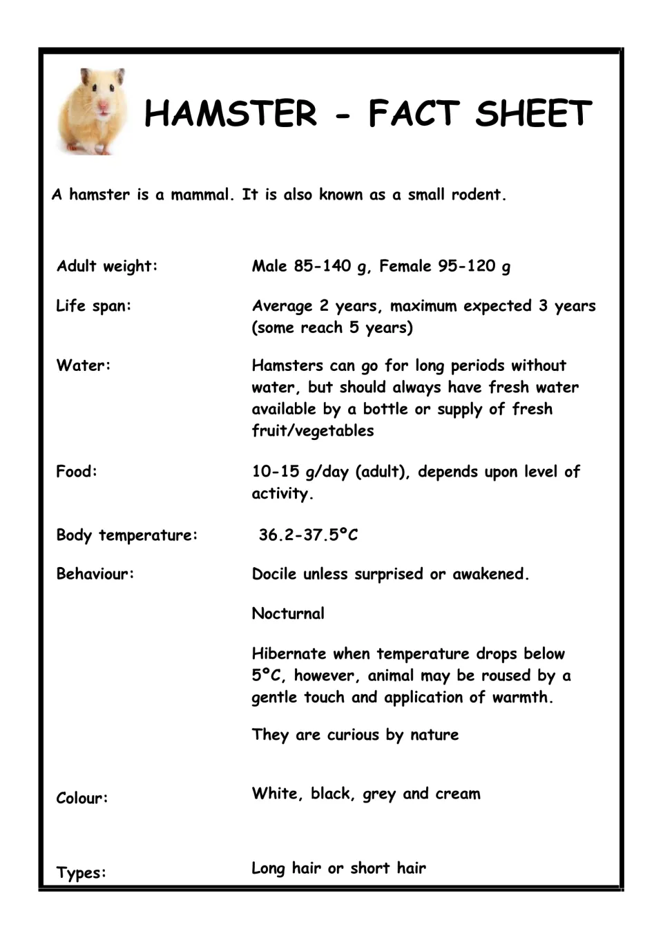 Hamster fact sheet: students read facts on weight, life span, food, water, body temperature, behaviour and colour
