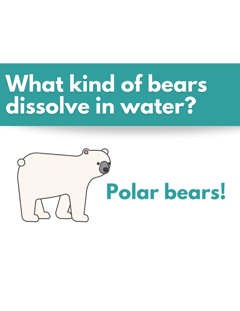 Solubility pun: "What kind of bears dissolve in water?" with the answer "Polar bears!" next to a white polar bear