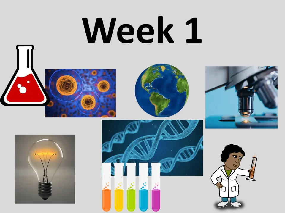 Week 1 divider introducing the first set of five daily science class starter activities