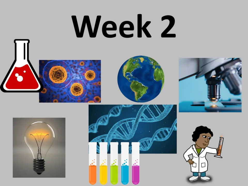 Week 2 divider introducing the second set of five daily science class starter activities