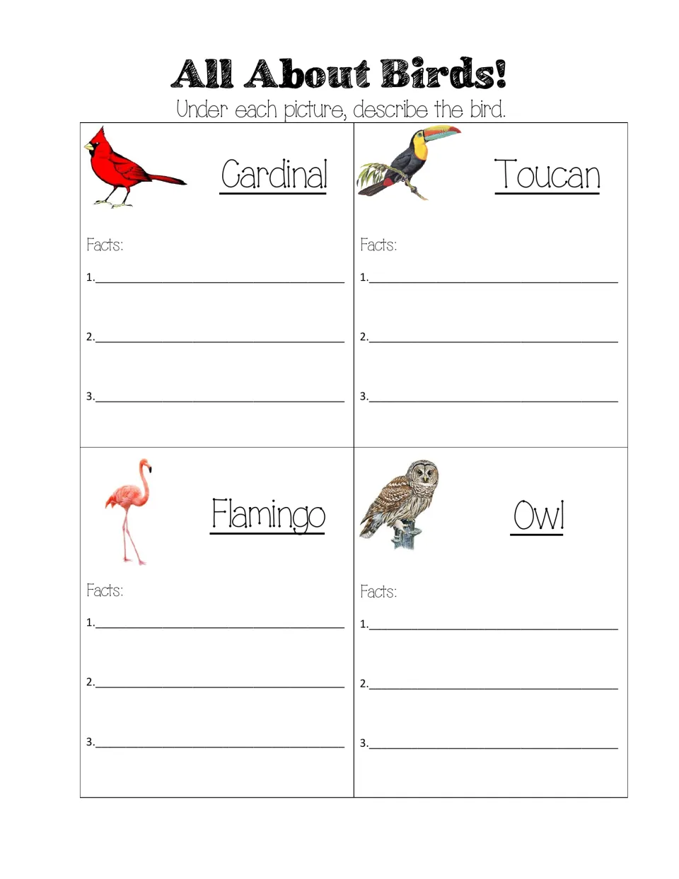 All About Birds student worksheet asks for three descriptive facts each about a cardinal, toucan, flamingo, and owl