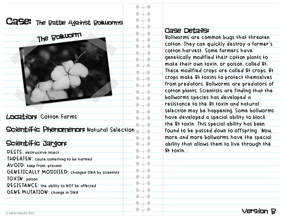 Version B case study reading explains bollworm resistance to Bt cotton using simpler wording and vocabulary