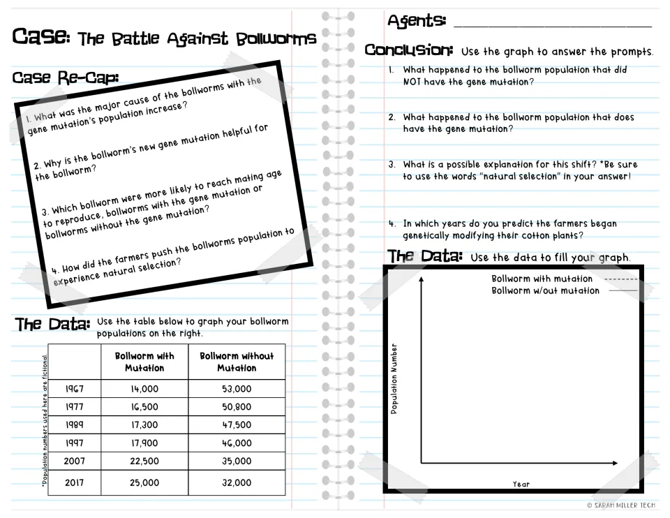 Bollworm activity includes four recap questions, population data from 1967 to 2017, and graphing conclusions