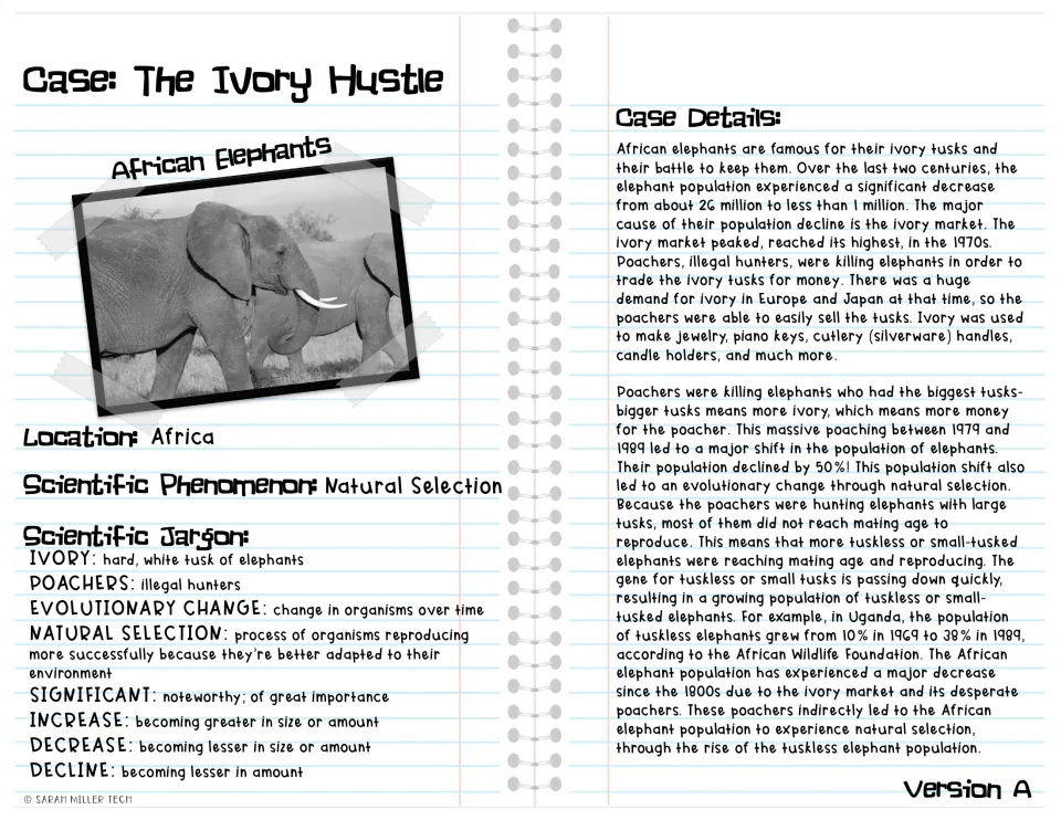 Ivory poaching and tuskless elephants reading, Version A: case details passage with elephant photo and vocabulary list
