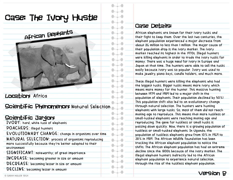 Version B of the African elephant case: simpler passage on poachers and the rise of tuskless elephants, with key terms
