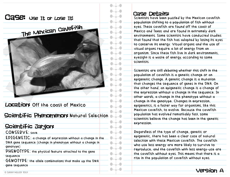 Mexican cavefish reading, Version A: why the fish lost its eyes, genetic vs epigenetic change, with vocabulary definitions