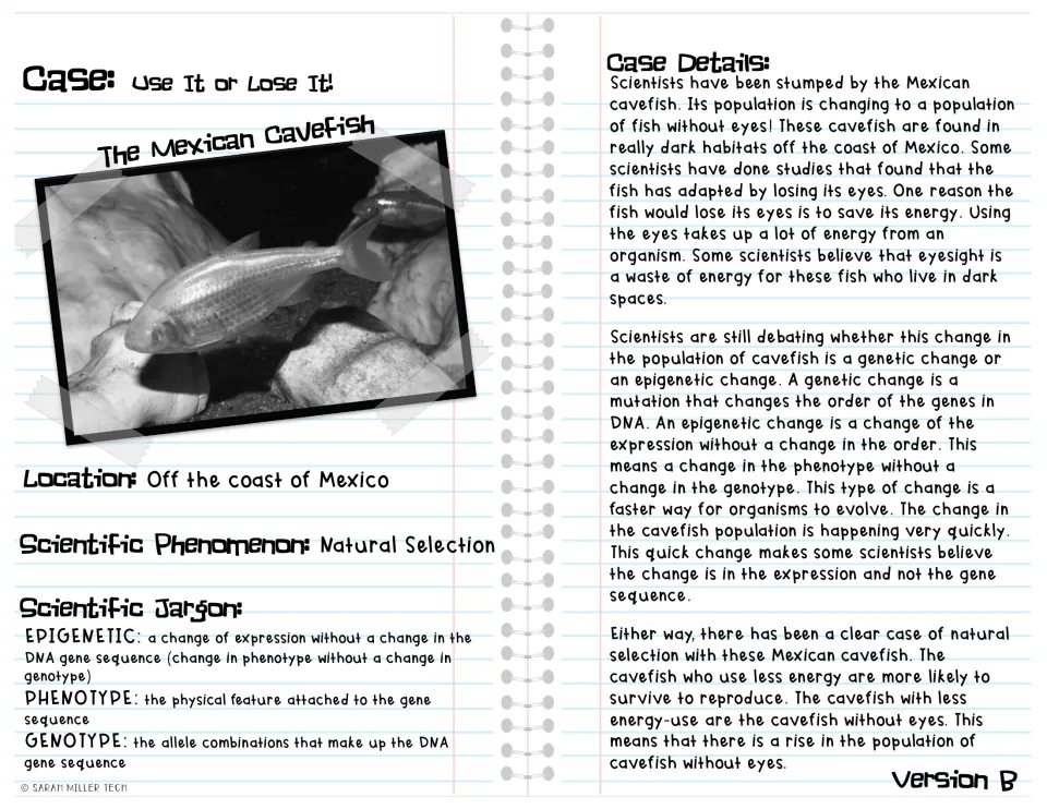 Mexican cavefish reading, Version B: simpler text on eye loss to save energy, plus definitions of epigenetic and genotype