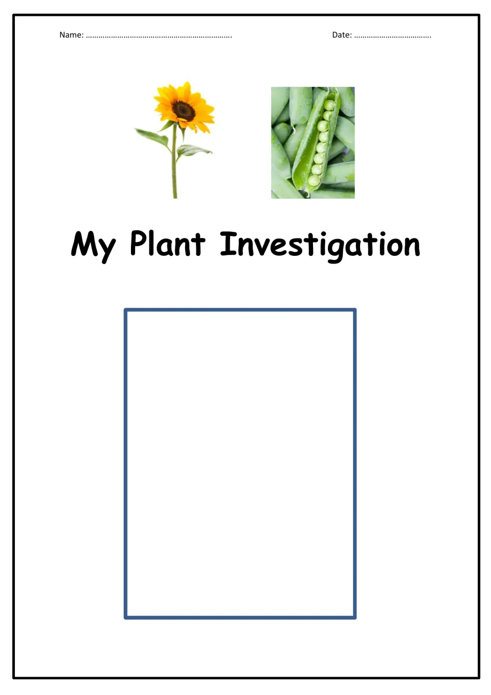 My Plant Investigation cover: sunflower and pea pod photos, name and date, and a space for students to draw their plant