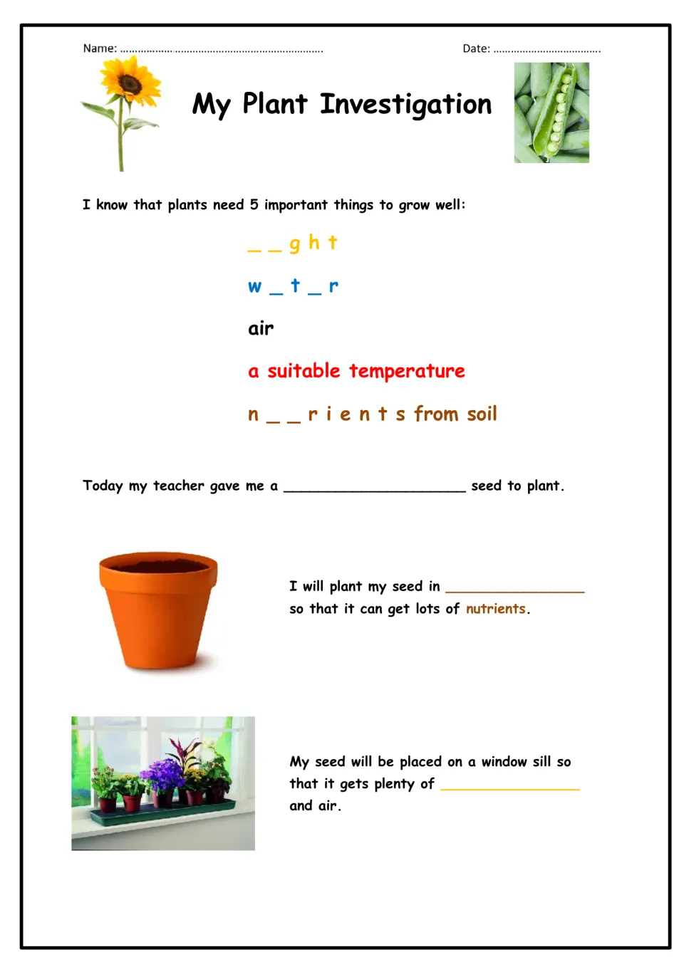 What plants need: students fill missing letters in light, water and nutrients, then finish sentences on sowing their seed
