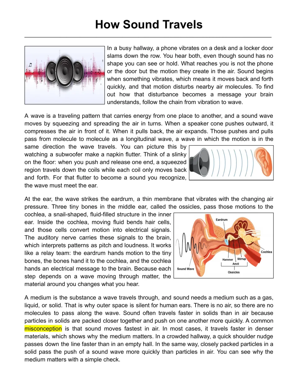 How Sound Travels passage: students read about vibration, longitudinal waves, the ear's parts and why sound needs a medium