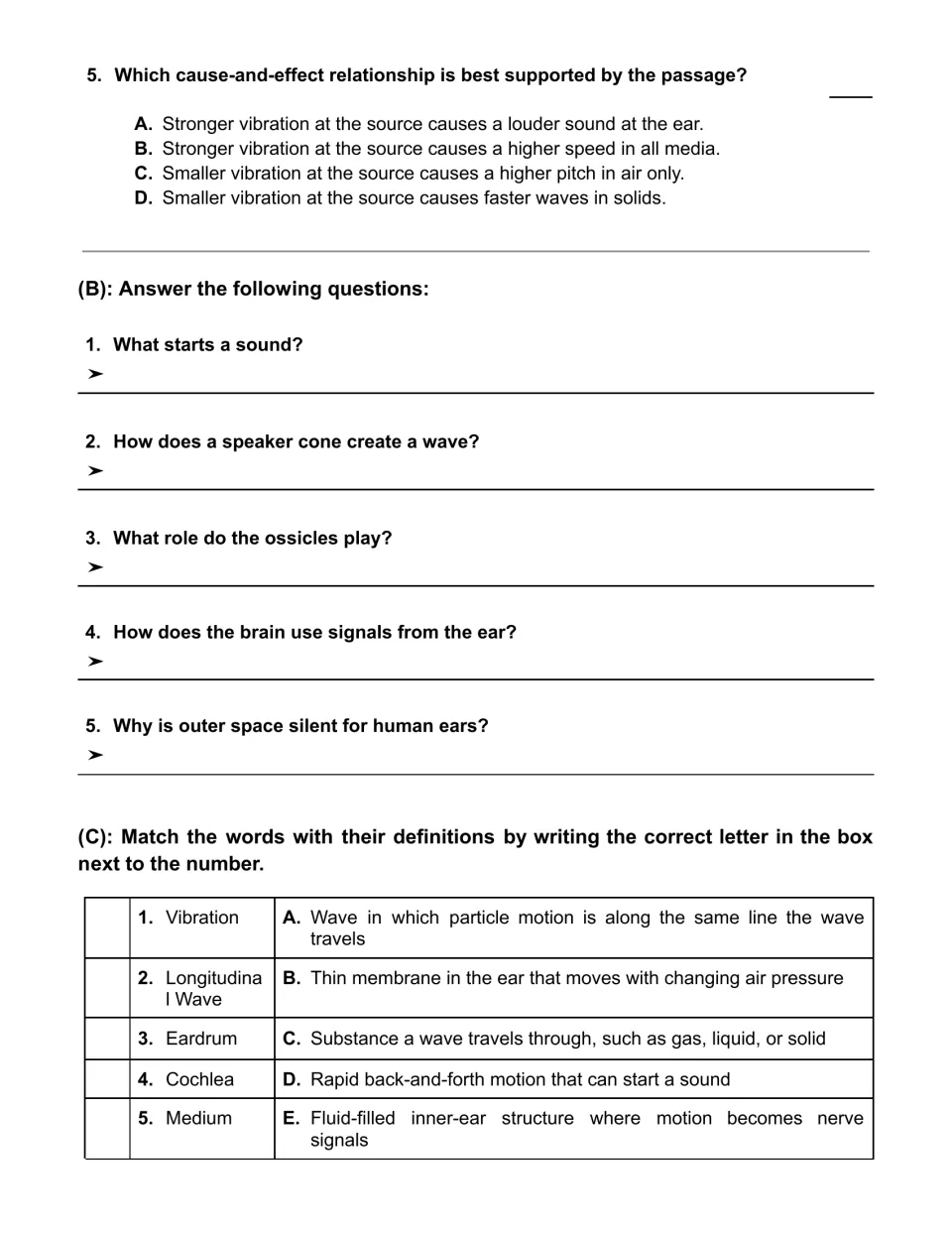Sound questions: a cause-and-effect item, five short answers on ossicles and space, and a five-term vocabulary match