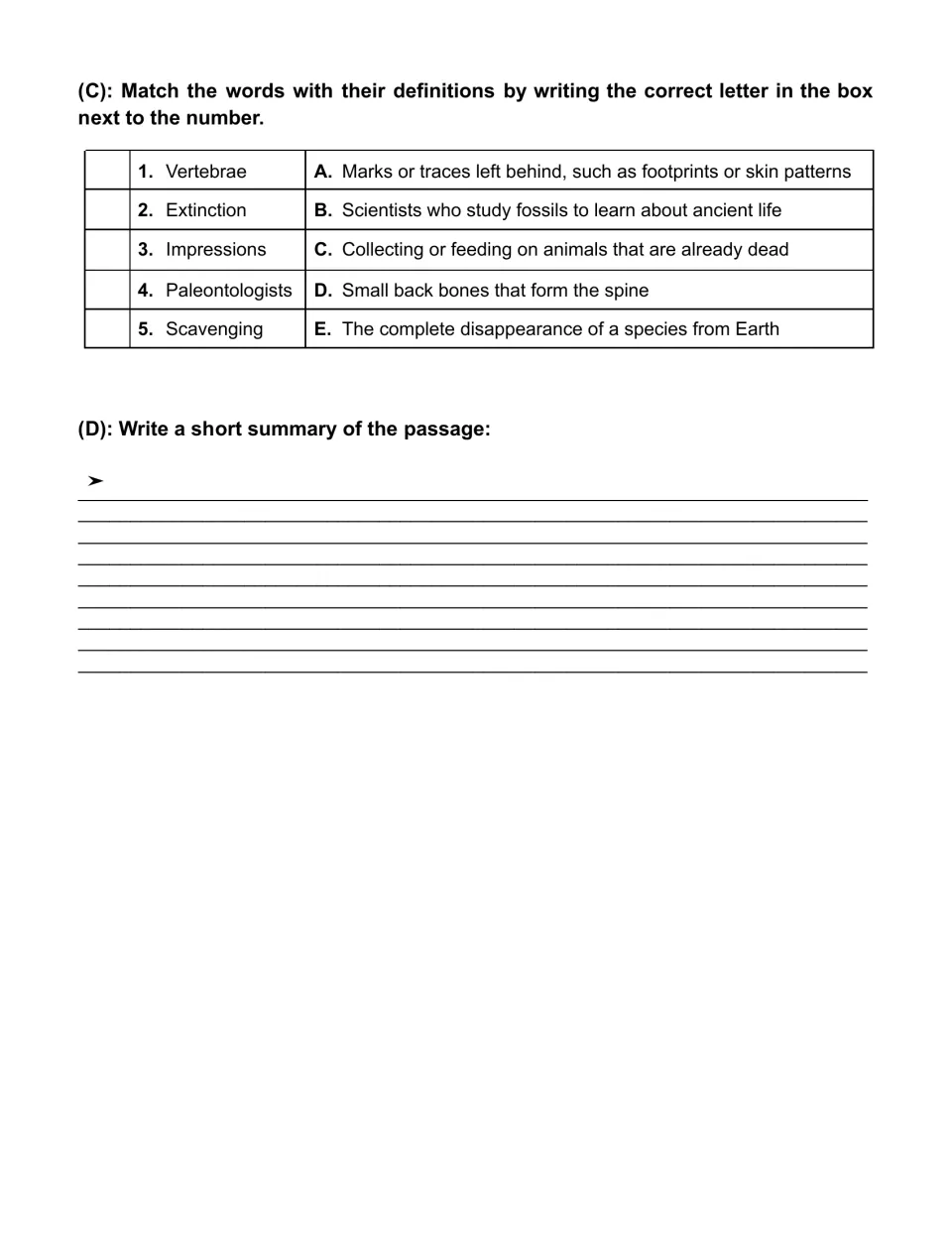T. rex vocabulary matching: vertebrae, extinction, impressions, paleontologists, and scavenging; summary task