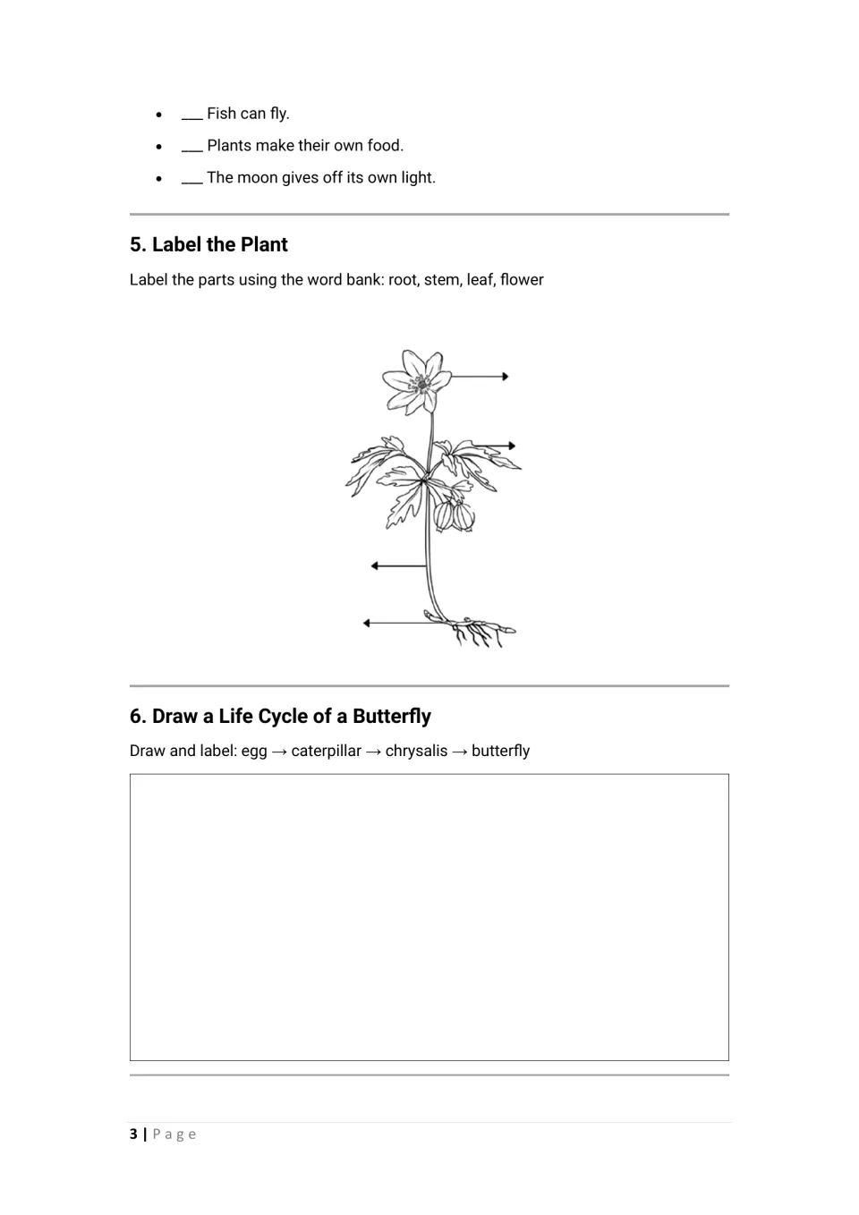 Science activities 4–6: finish true or false, label root, stem, leaf, and flower, and draw a butterfly life cycle