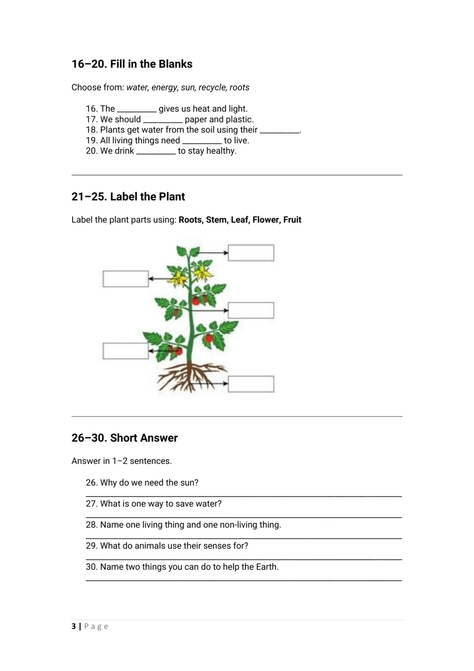 Science review 16-30: word-bank fill-ins, labeling roots, stem, leaf, flower and fruit on a plant, and short answers