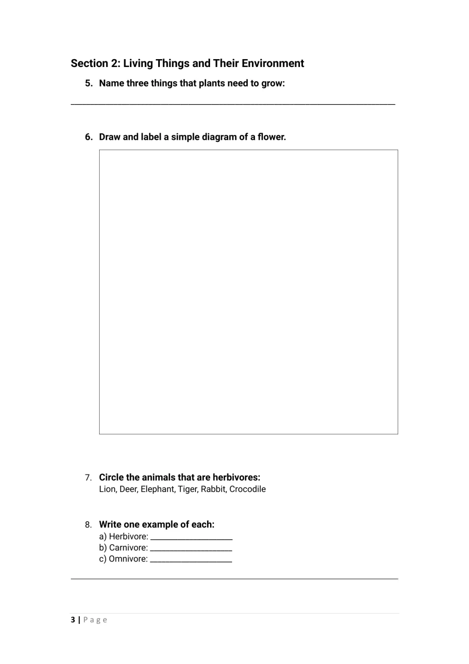 Living things activities 5–8 ask about plant needs, drawing and labeling a flower, and animal diets.
