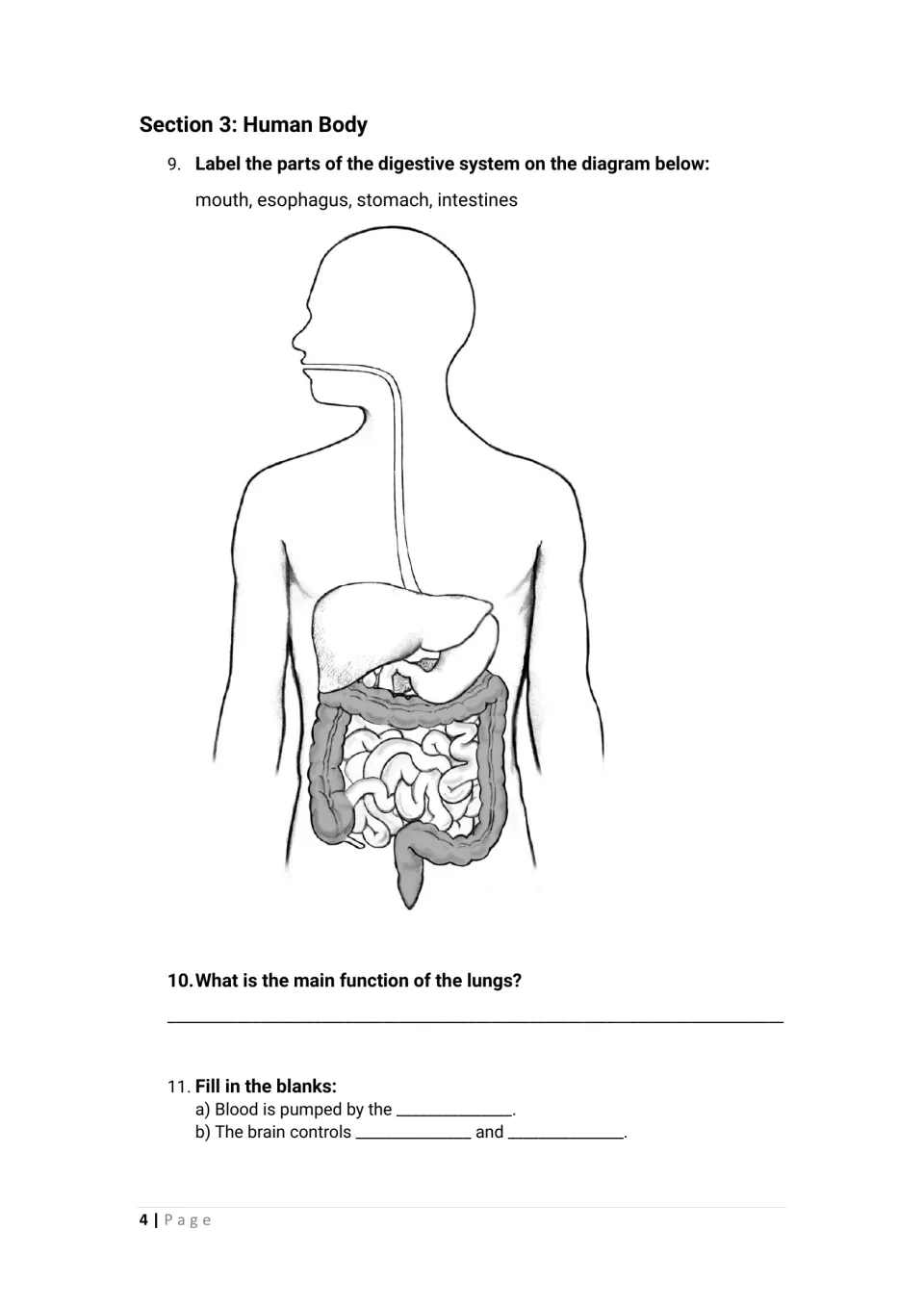 Human body activities 9–11 include labeling a digestive system diagram and questions on lungs, heart, and brain.