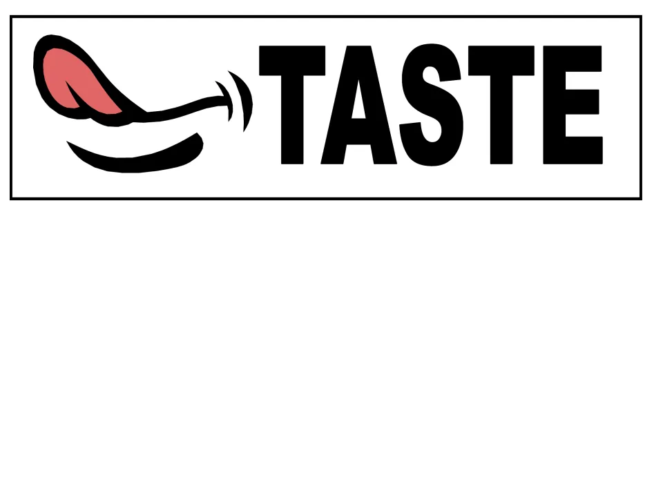 Five senses word card for TASTE, showing a drawing of a mouth with the tongue out beside the large printed word