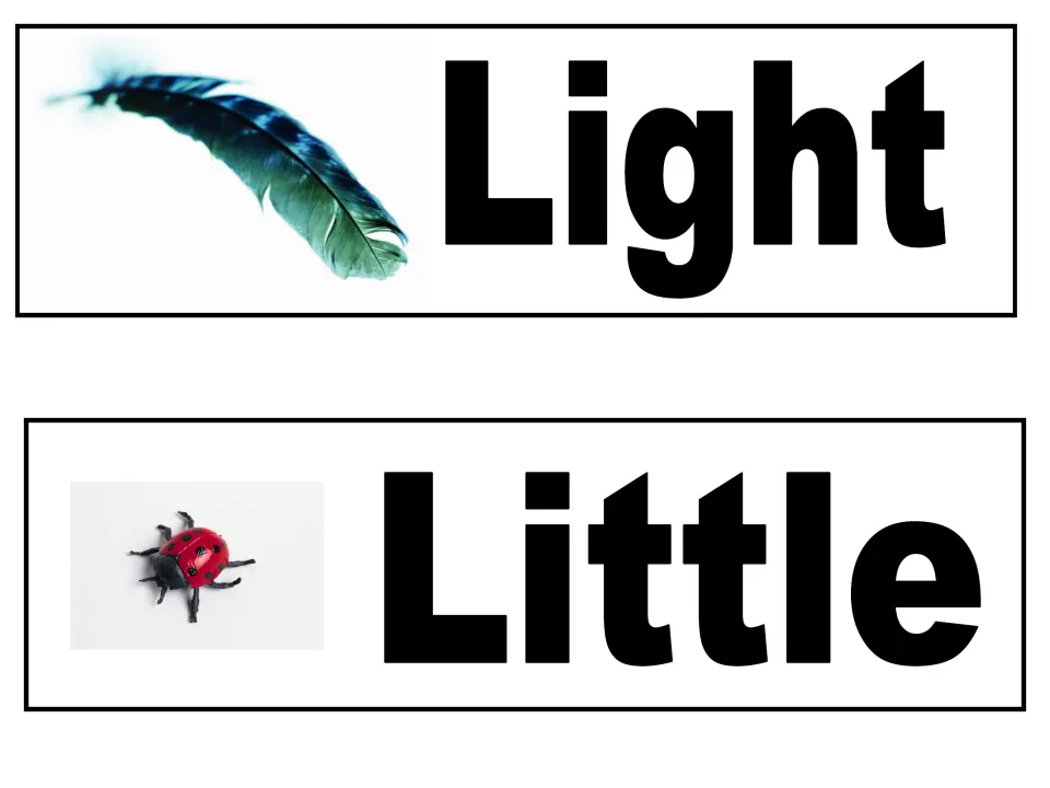 Describing words Light and Little: a photo of a feather and a photo of a small ladybug beside each printed word