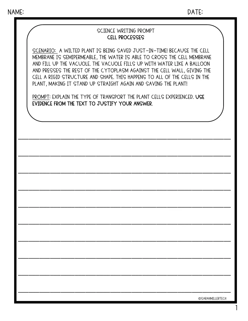 Cell processes writing prompt: explain water entering a wilted plant's cells and support the answer with evidence.