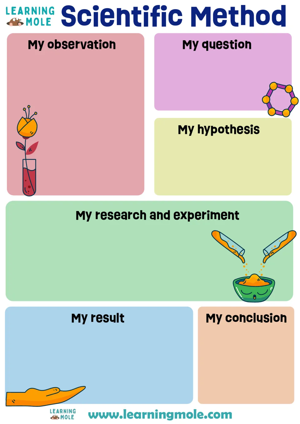 Scientific method organizer: students write their observation, question, hypothesis, experiment, result and conclusion