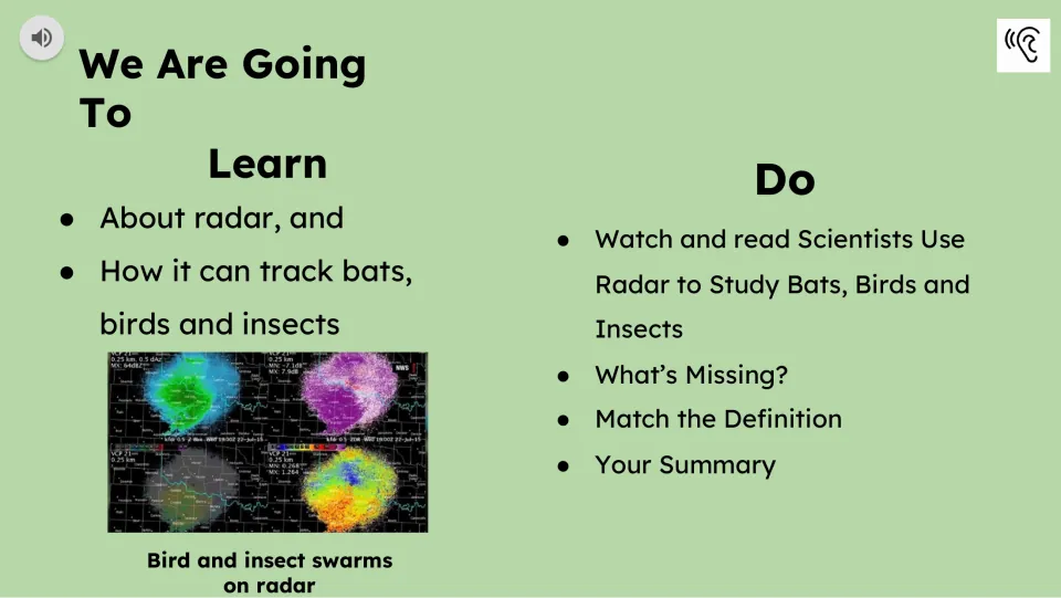 Learning goals introduce radar tracking of bats, birds, and insects, followed by the lesson activity list