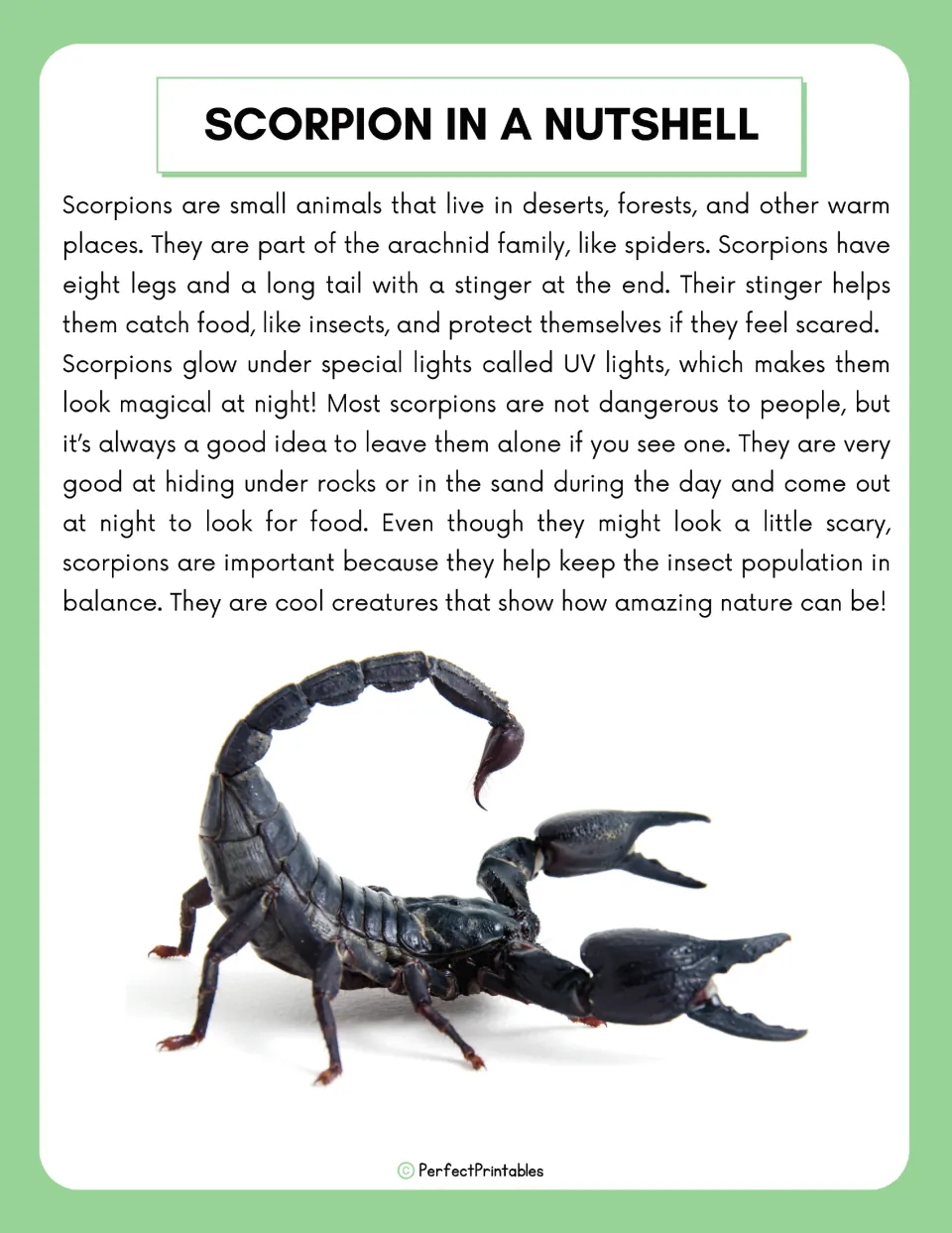 Scorpion in a Nutshell reading passage: arachnid traits, eight legs, stinger, UV glow and night hunting, with a photo