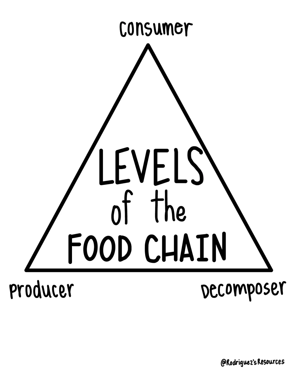 Food-chain notes diagram titled 'Levels of the Food Chain' labels consumer, producer, and decomposer