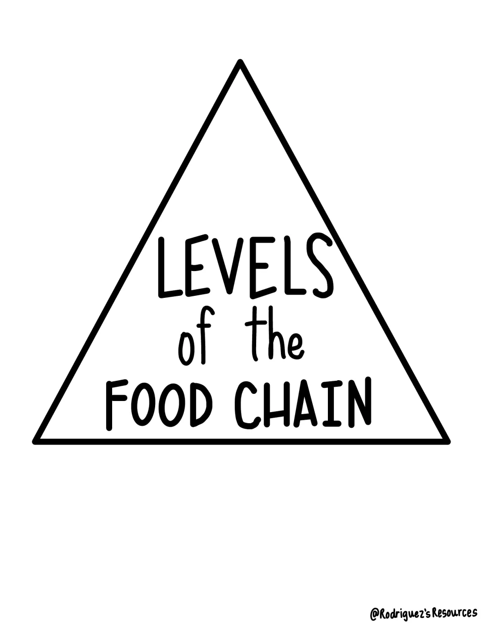 Unlabeled food-chain notes diagram retains 'Levels of the Food Chain' for students to add the role names