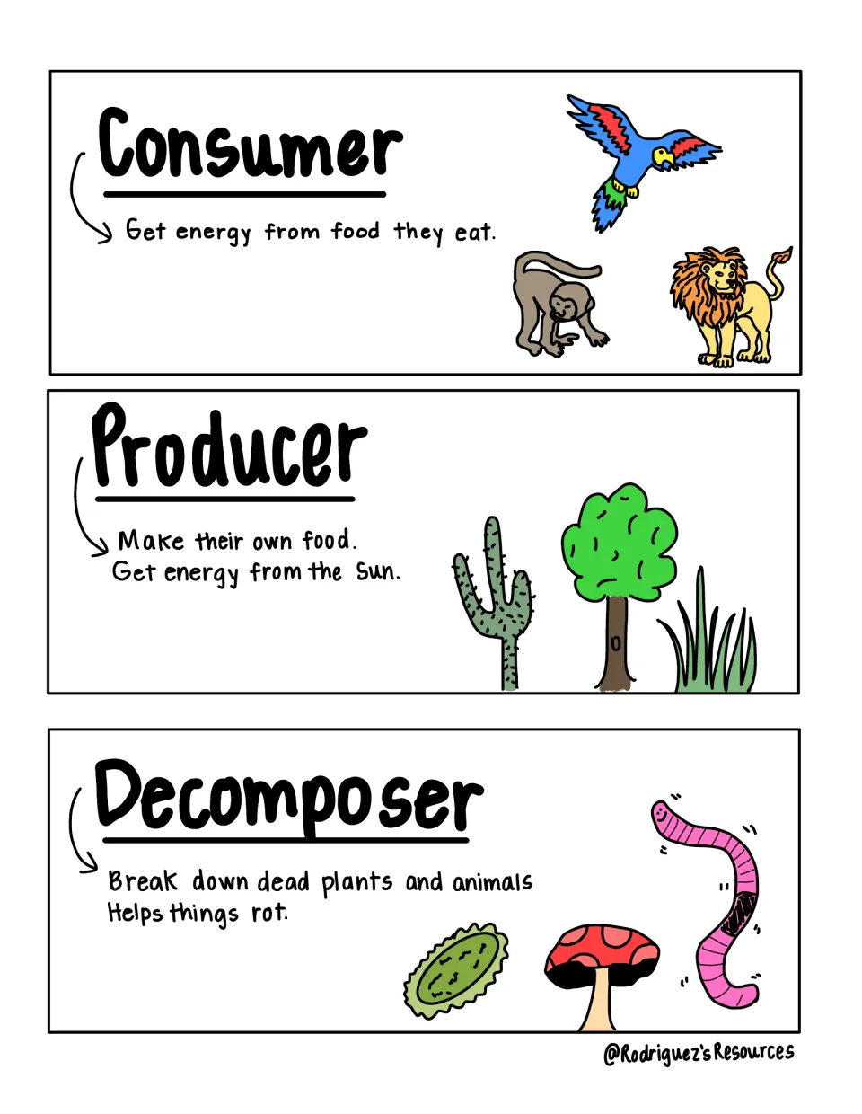 Color reference notes explain consumers eating food, producers making food, and decomposers breaking down remains
