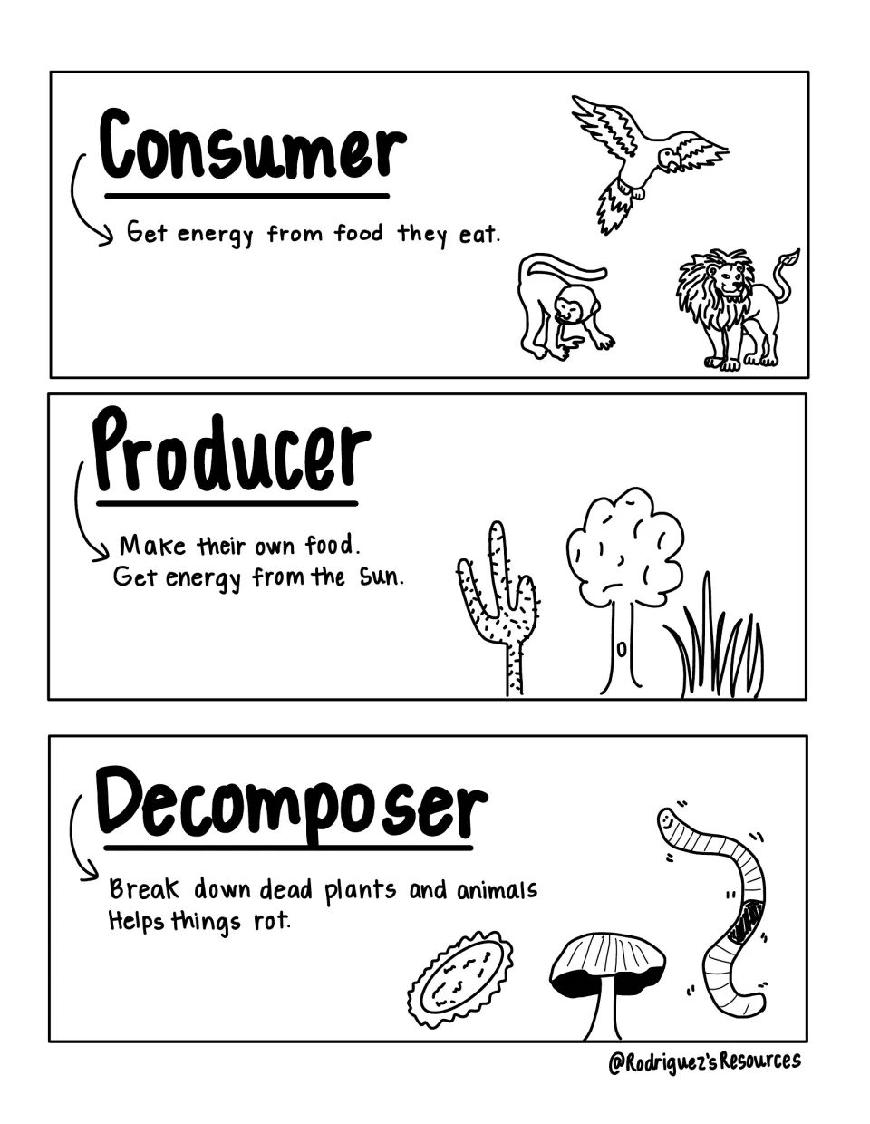 Black-and-white reference notes define consumer, producer, and decomposer with animal, plant, and fungi examples