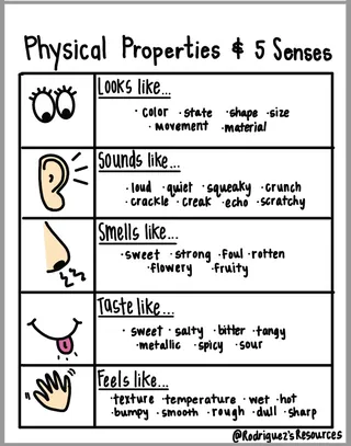 Scribble Notes - Interactive Notebook- Properties and States of Matter – sample page 4