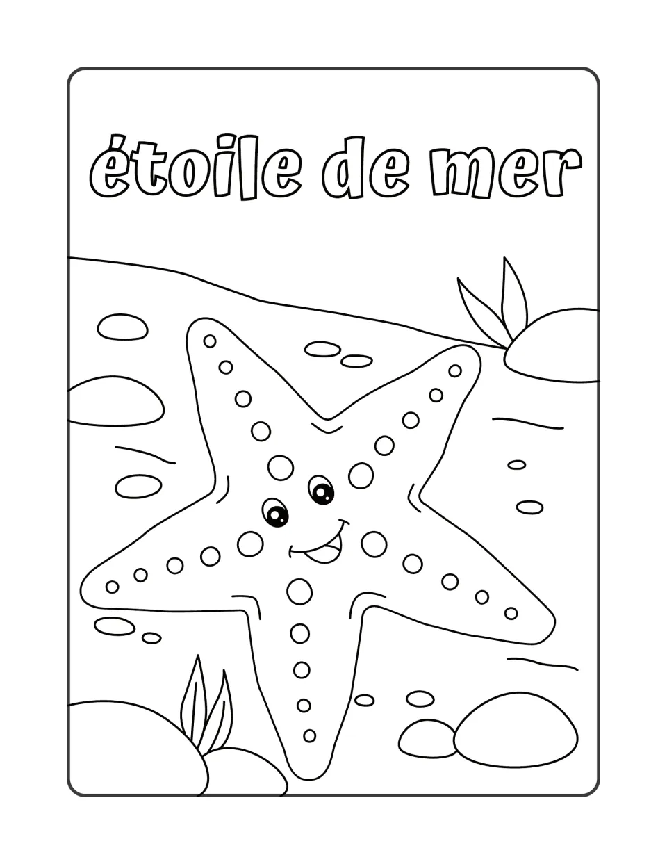 Étoile de mer: a spotted, smiling starfish on the sand among pebbles and a plant, with its three-word French name above