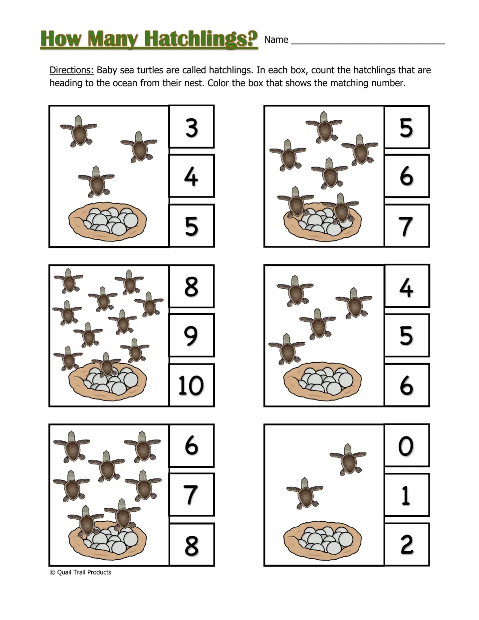 How Many Hatchlings? counting practice asks students to count baby sea turtles and color the matching number