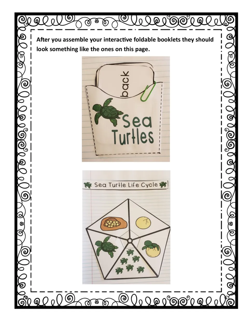 Photos of finished booklets in a notebook: a turtle card pocket held with a paperclip and a pentagon life cycle flap book