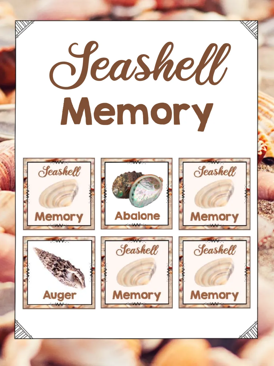 Seashell Memory cover showing sample matching cards: abalone and auger shell photos beside shell-design card backs