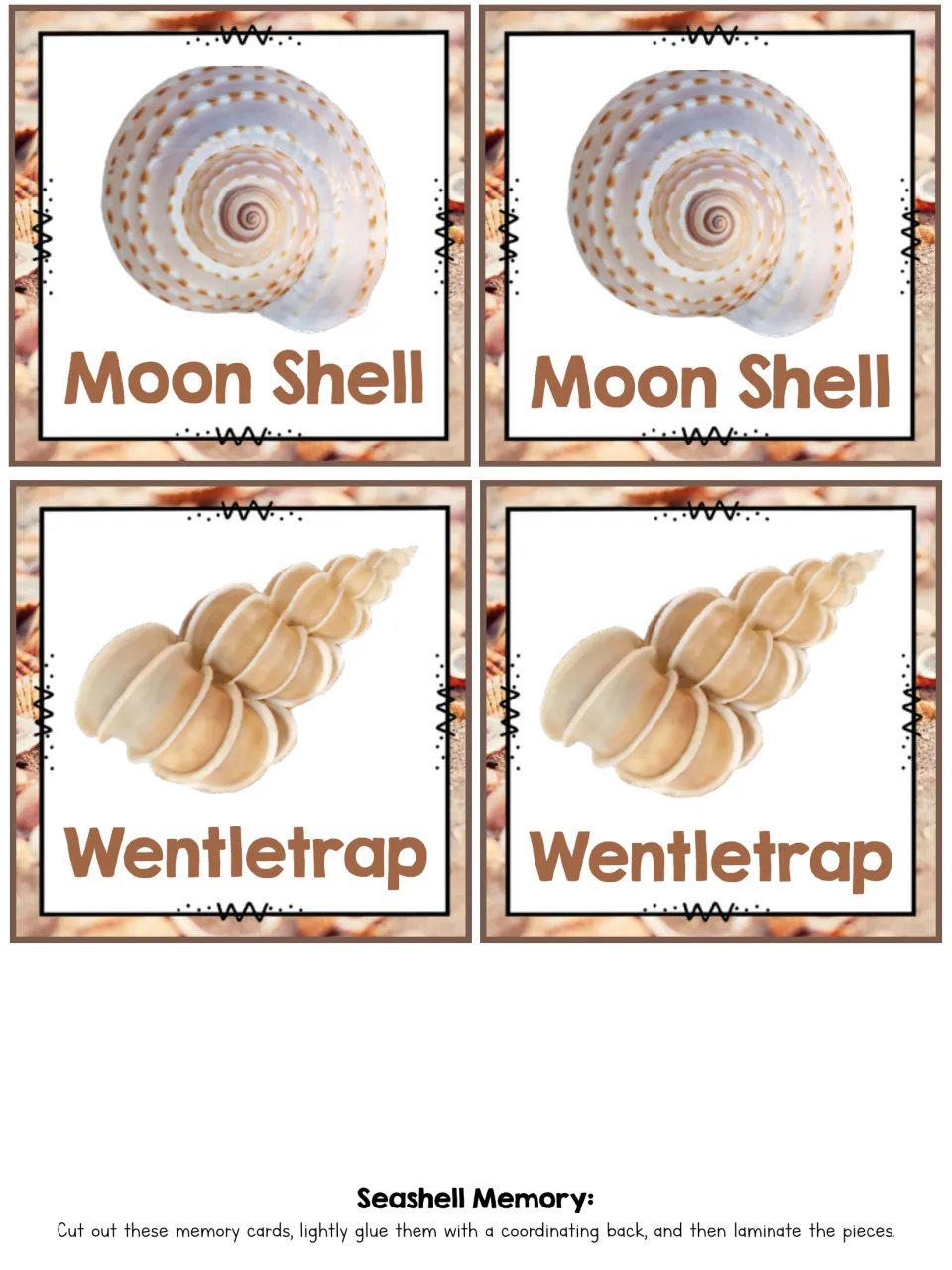 Shell matching cards: two Moon Shell and two Wentletrap photo cards for students to cut out and pair in a memory game