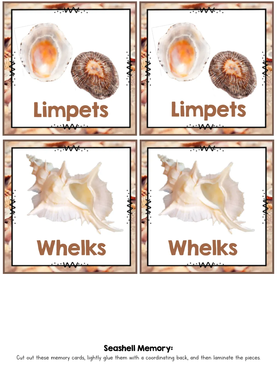 Limpets and Whelks photo cards, two of each, to cut out and laminate so students can match shell names and pictures