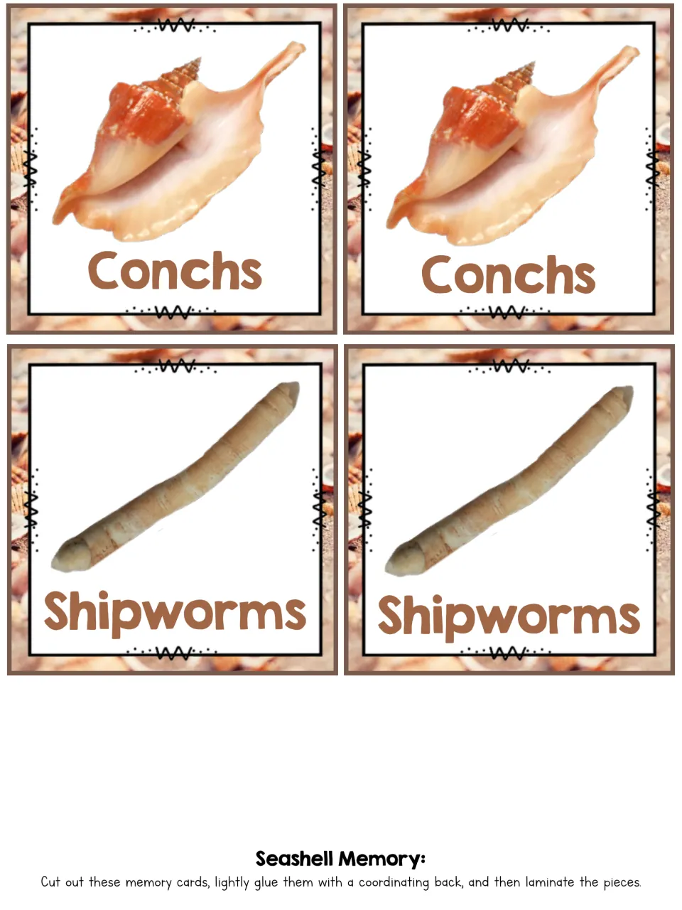 Conchs and Shipworms memory cards: matching pairs of labeled shell photos for students to cut out and find in play