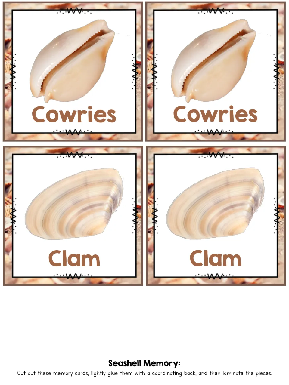 Cowries and Clam photo cards in matching pairs, cut out and laminated so students can flip and match shell names