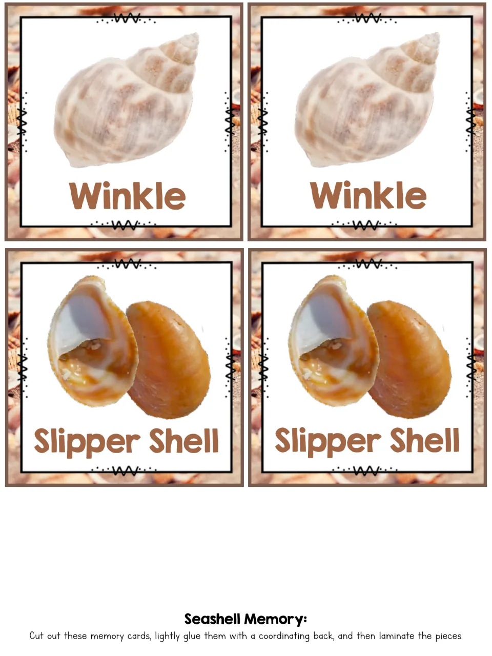 Winkle and Slipper Shell memory cards: matching pairs of labeled shell photos to cut out, back and laminate for play
