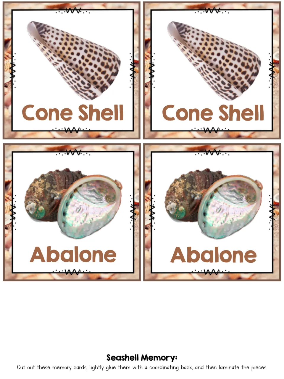 Cone Shell and Abalone photo cards in pairs, the final shell set for students to cut out and match by name and picture