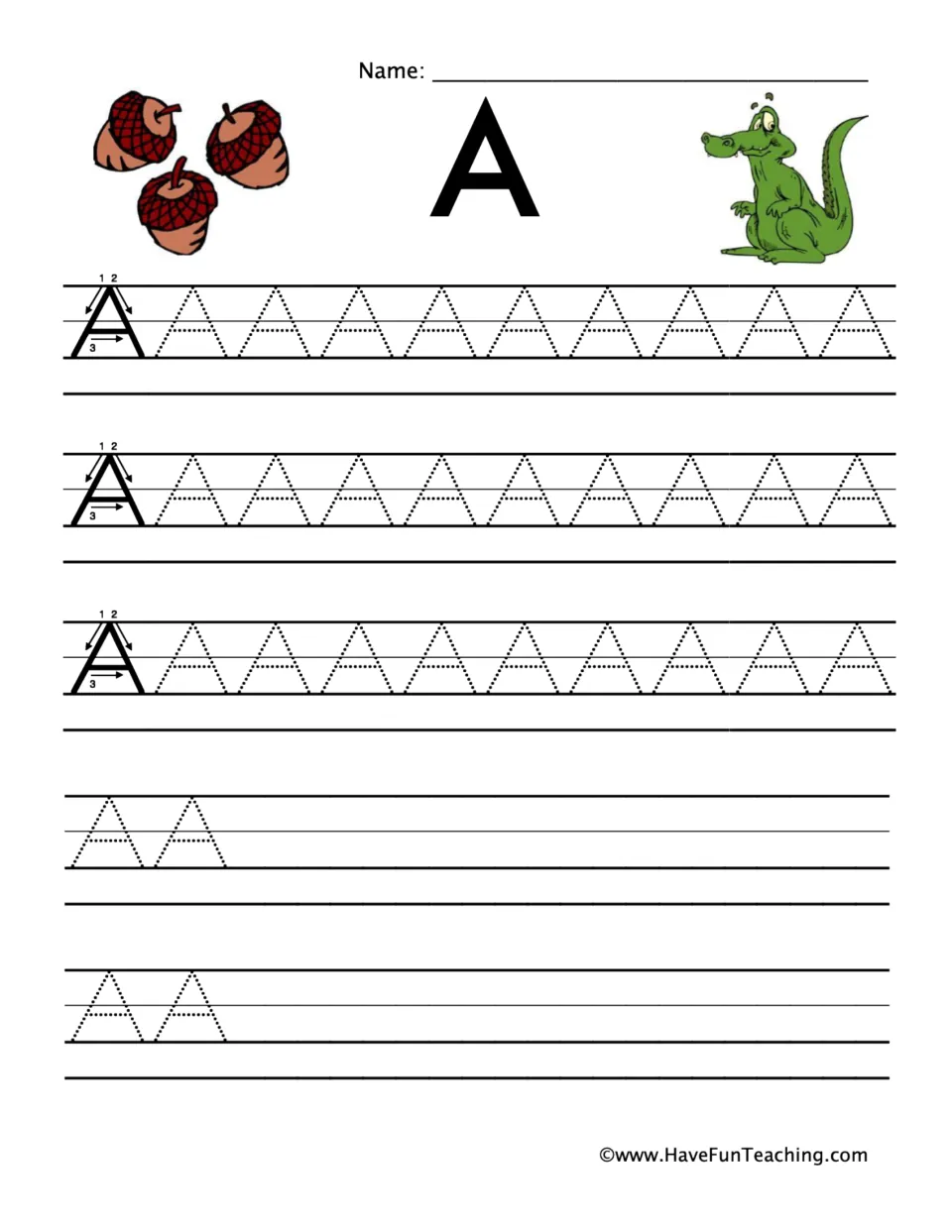 Letter A handwriting: students trace dotted capital A's after a numbered stroke model, shown with acorns and an alligator
