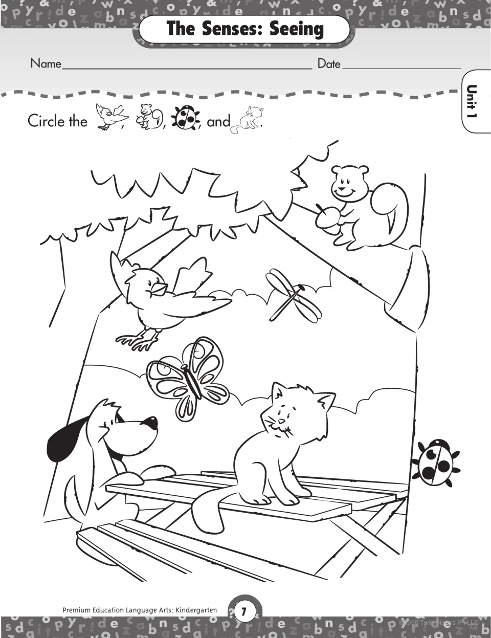 The Senses: Seeing. Children find and circle the bird, squirrel, ladybug and cat in an outdoor scene