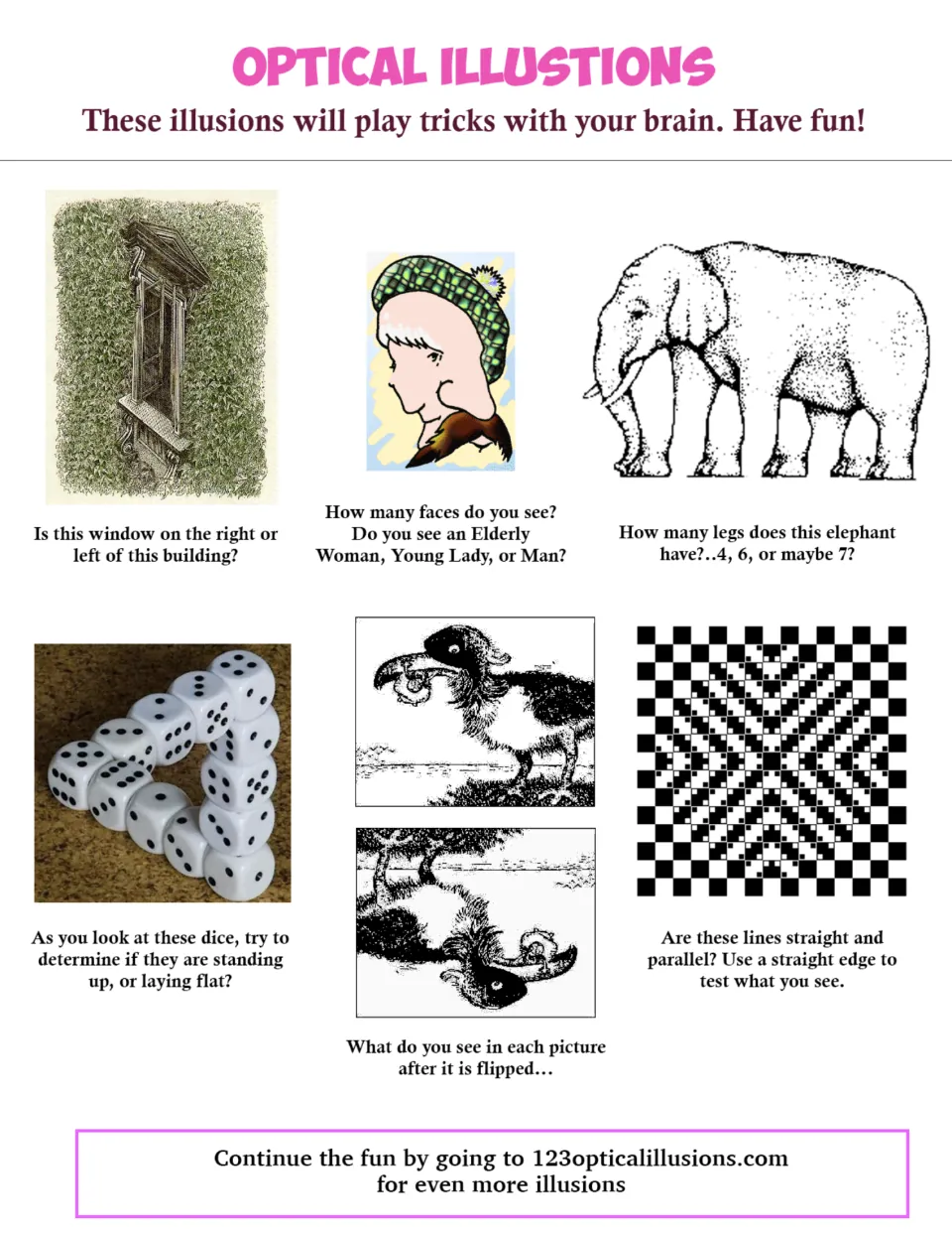 Optical illusions sheet: six illusions with questions, such as 'How many legs does this elephant have?'