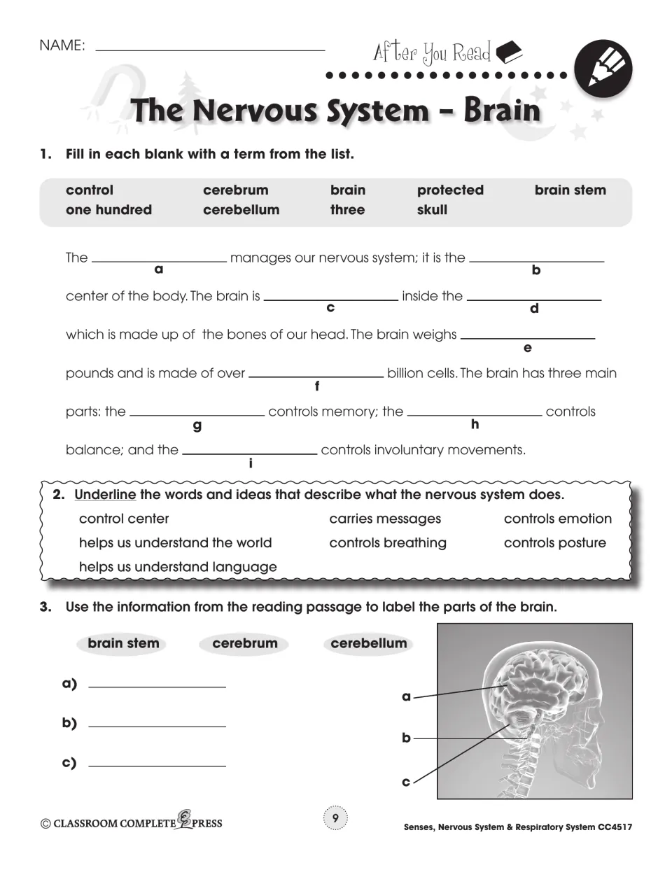 After You Read, brain: fill-in-the-blank paragraph, underline what the nervous system does, label 3 brain parts