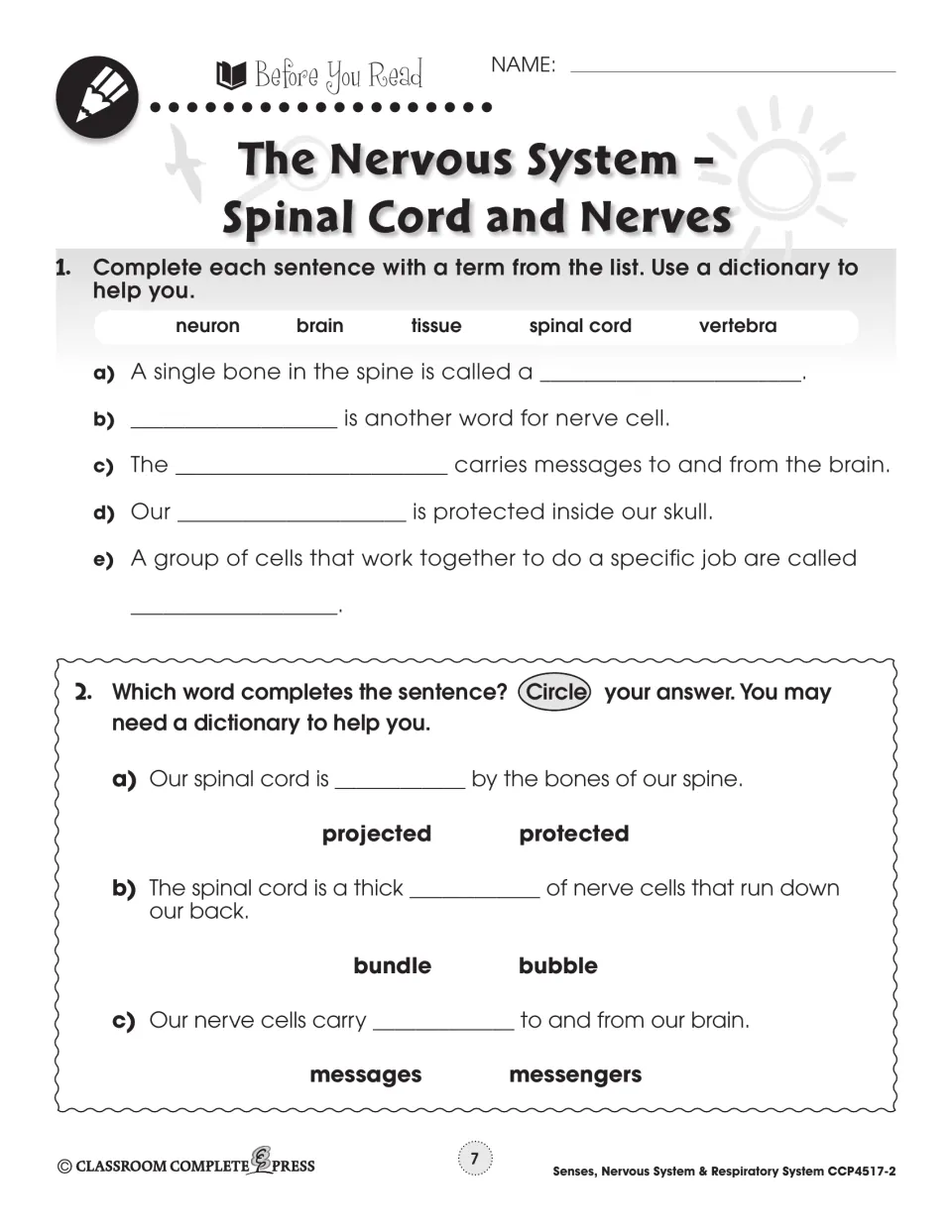 Before you read: fill in neuron, brain, tissue, spinal cord or vertebra, then circle protected, bundle or messages