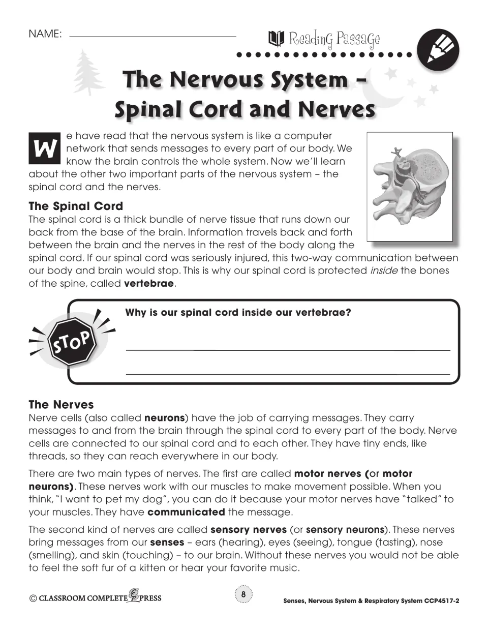 Spinal cord and nerves reading passage on vertebrae and motor and sensory nerves, with a vertebra drawing
