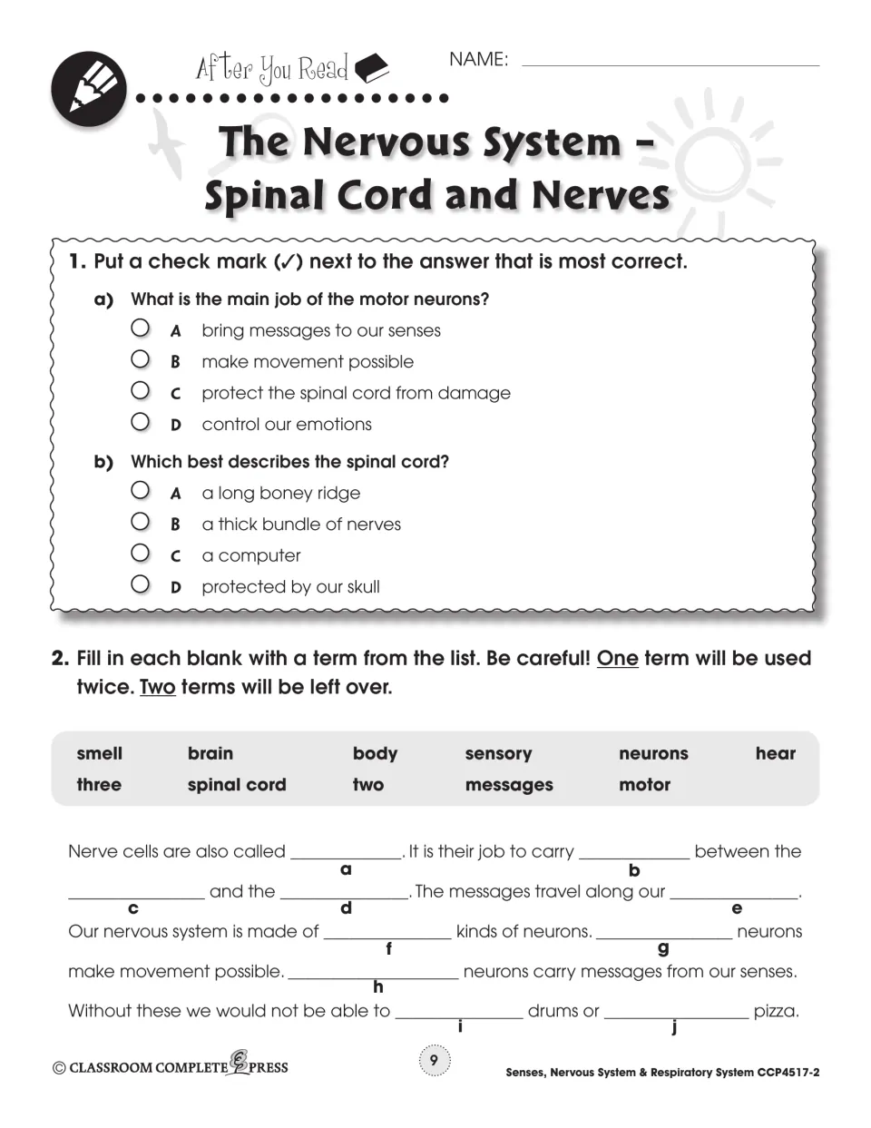 After you read part 1: multiple-choice on motor neurons and the spinal cord, plus a fill-in paragraph on neurons